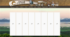 Desktop Screenshot of inua.com